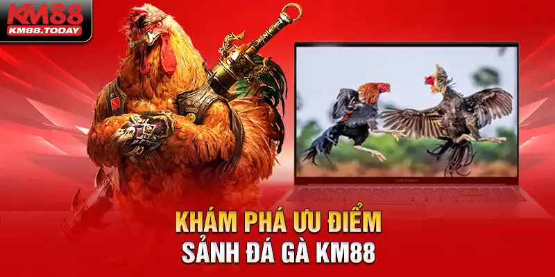 Khám phá những nét cuốn hút của sảnh chọi kê KM88