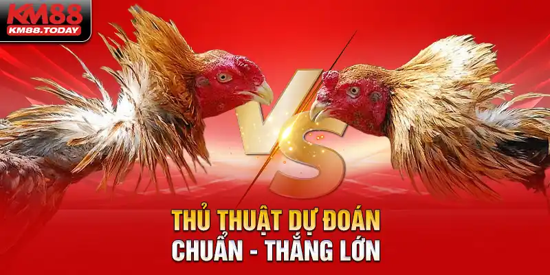 Bật mí thủ thuật dự đoán giúp bet thủ thắng lớn